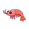 shrimp
